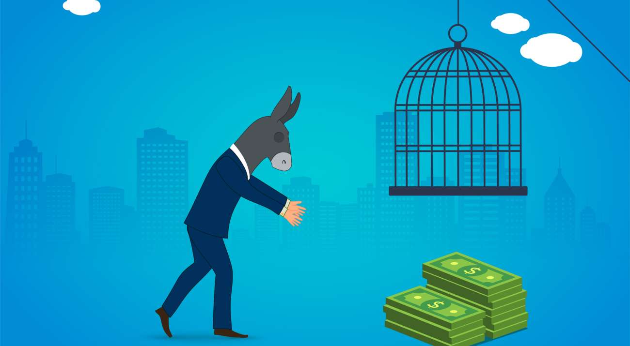 Donkey trapped, business, investment, idiot, stupid...